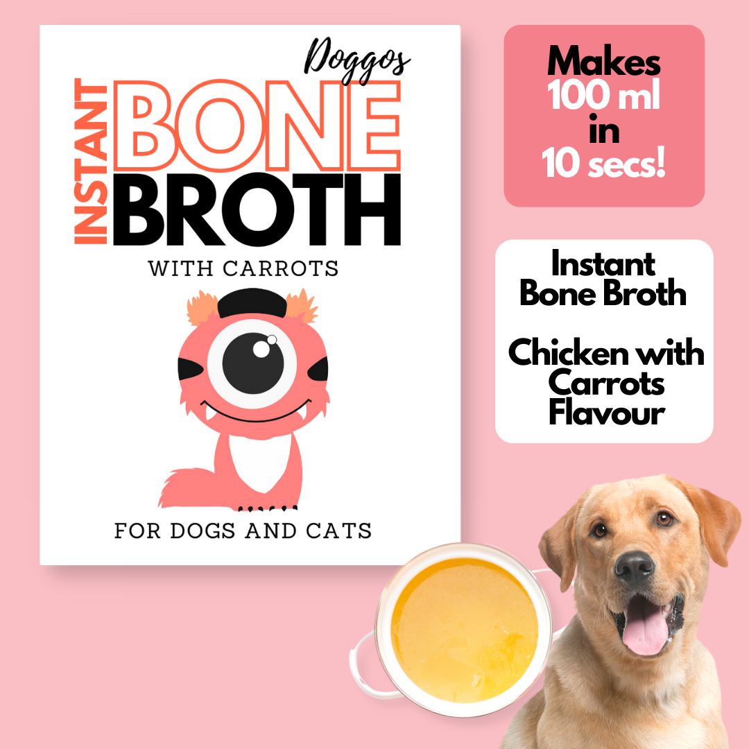 Bone broth for sales dogs with cancer