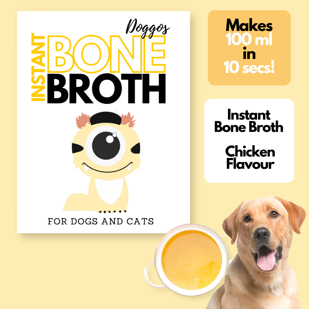 Is chicken broth 2024 ok for dogs