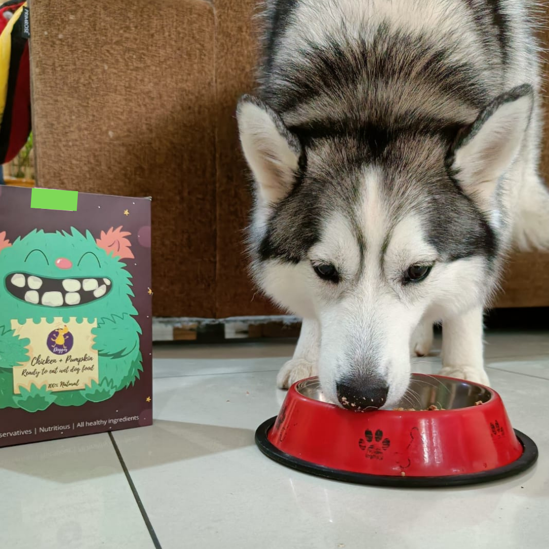 Doggos Big Monster (800 gms) - Fresh Dog Food