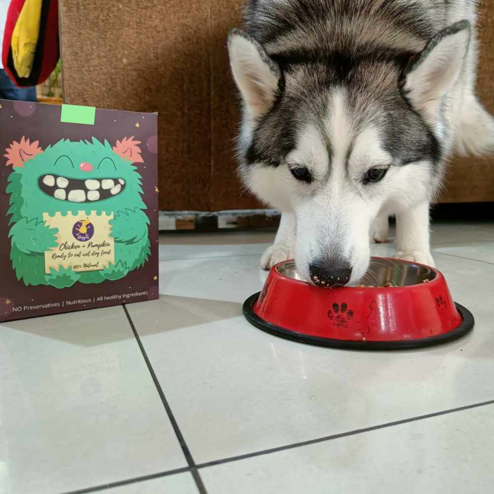 Doggos Mini Jumbo Monster (4.5 Kg) - Fresh Dog Food