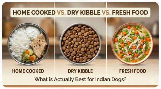 Fresh Food vs. Kibble vs. Home Cooked: What is Actually Best for Indian Dogs?