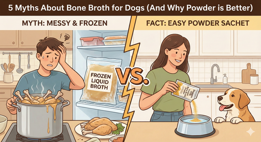 5 Myths About Bone Broth for Dogs (And Why Powder is Better)