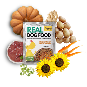 REAL Fresh Dog Food (Chicken & Pumpkin) 150g - Trial Pack