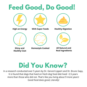 REAL Fresh Dog Food (Chicken & Pumpkin) 150g - Trial Pack