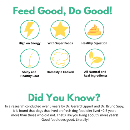 REAL Dog Food (Chicken & Rice) 150g - Ready to Eat | Trial Pack