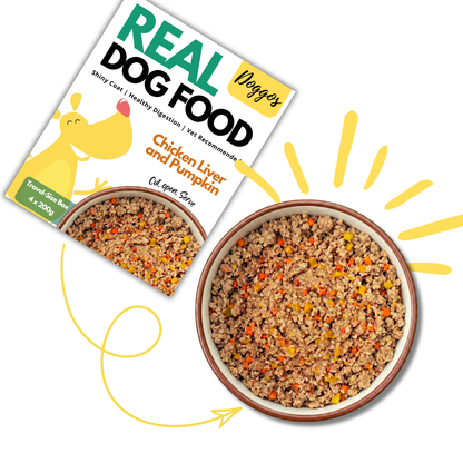 REAL Dog Food (4 x 200g) | Travel Size Box