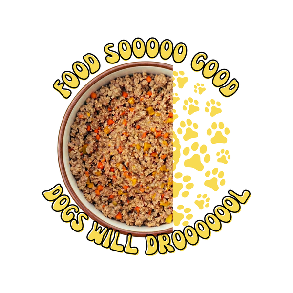 REAL Fresh Dog Food (4 x 200g) | Travel Size Box