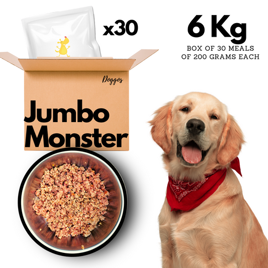Doggos Jumbo Monster (6 Kg) - Fresh Dog Food