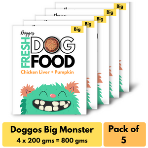 REAL Fresh Dog Food (4 x 200g) | Travel Size Box