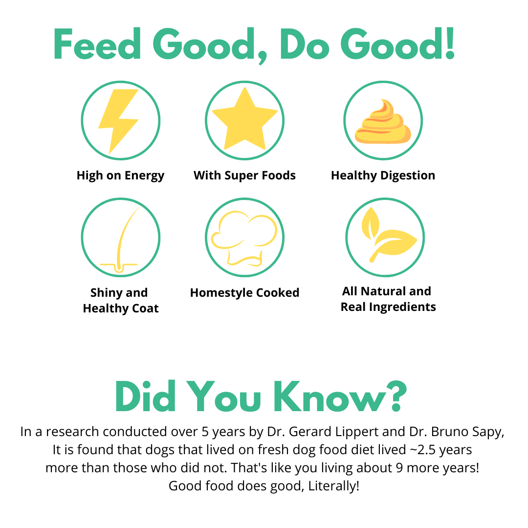 The Super Monster Club | 4 Fresh Meals + All 4 Broth Flavors (VIP Pack)