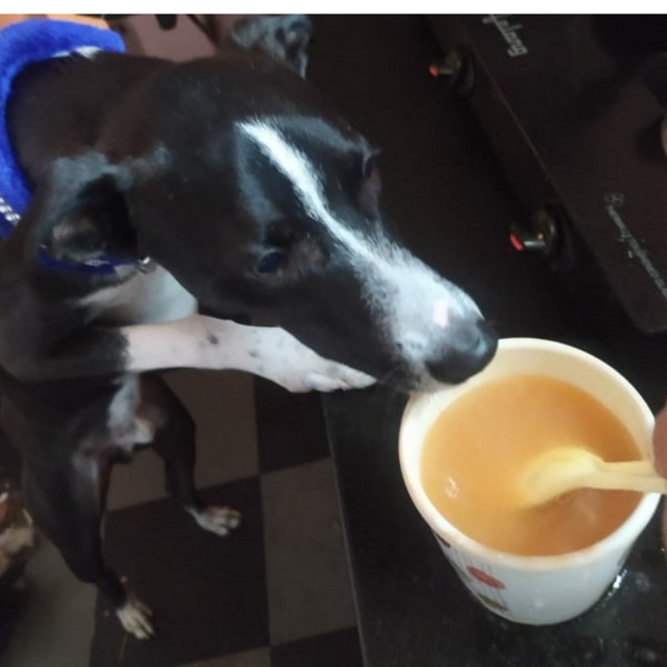 Instant Bone Broth Powder (Chicken) - 3.5g/100ml