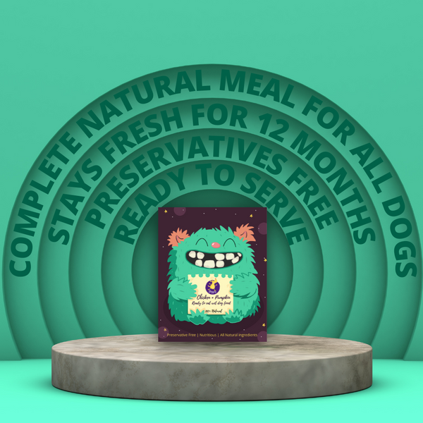 Monthly Real Fresh Food Pack (30 x 150g) | Mini Jumbo Monster - Best Value