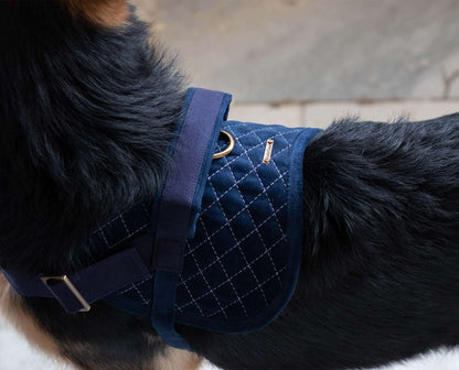 IndieGood Corduroy and Canvas Harness for Dog