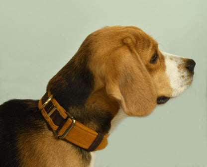 IndieGood Skin Friendly Corduroy Dog Collar